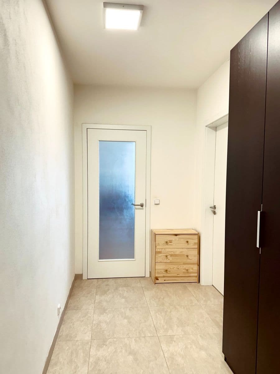 Prenájom bytu 1-izbový 51 m², Davídkova, Praha, Praha Prenájom bytu 1-izbový 51 m², Davídkova, Praha, Praha