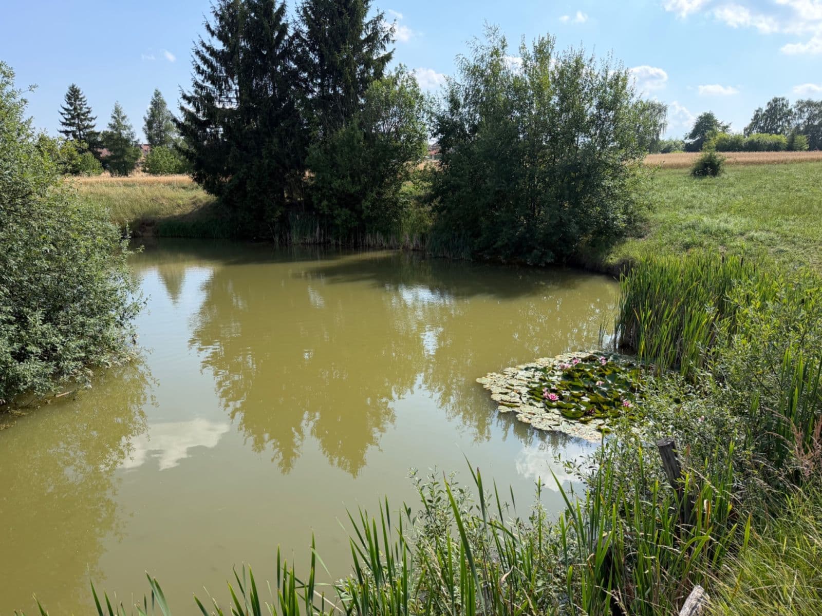 Predaj pozemku 1.767 m², Rudice, Jihomoravský kraj Predaj pozemku 1.767 m², Rudice, Jihomoravský kraj