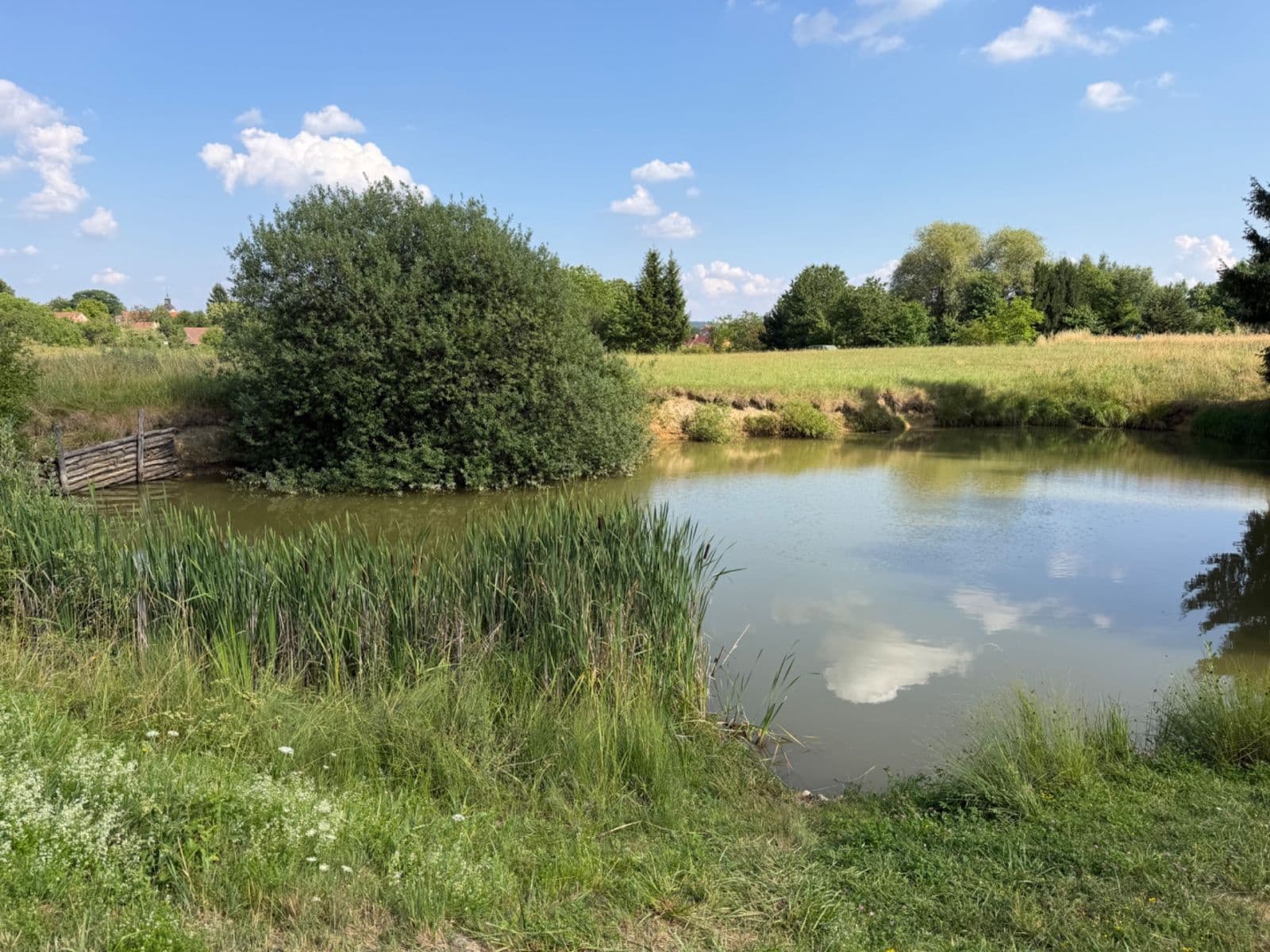Predaj pozemku 1.767 m², Rudice, Jihomoravský kraj Predaj pozemku 1.767 m², Rudice, Jihomoravský kraj