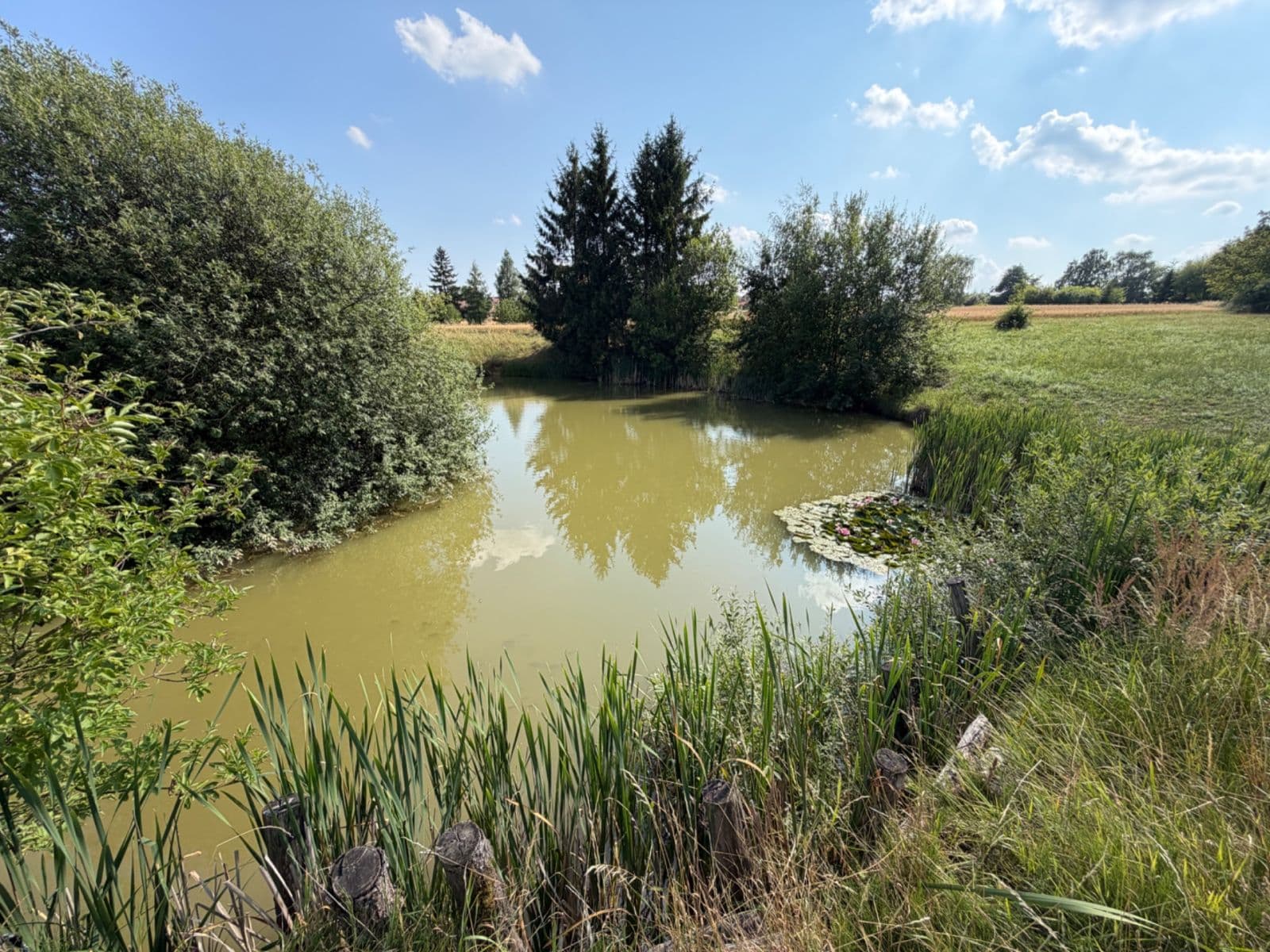Predaj pozemku 1.767 m², Rudice, Jihomoravský kraj Predaj pozemku 1.767 m², Rudice, Jihomoravský kraj