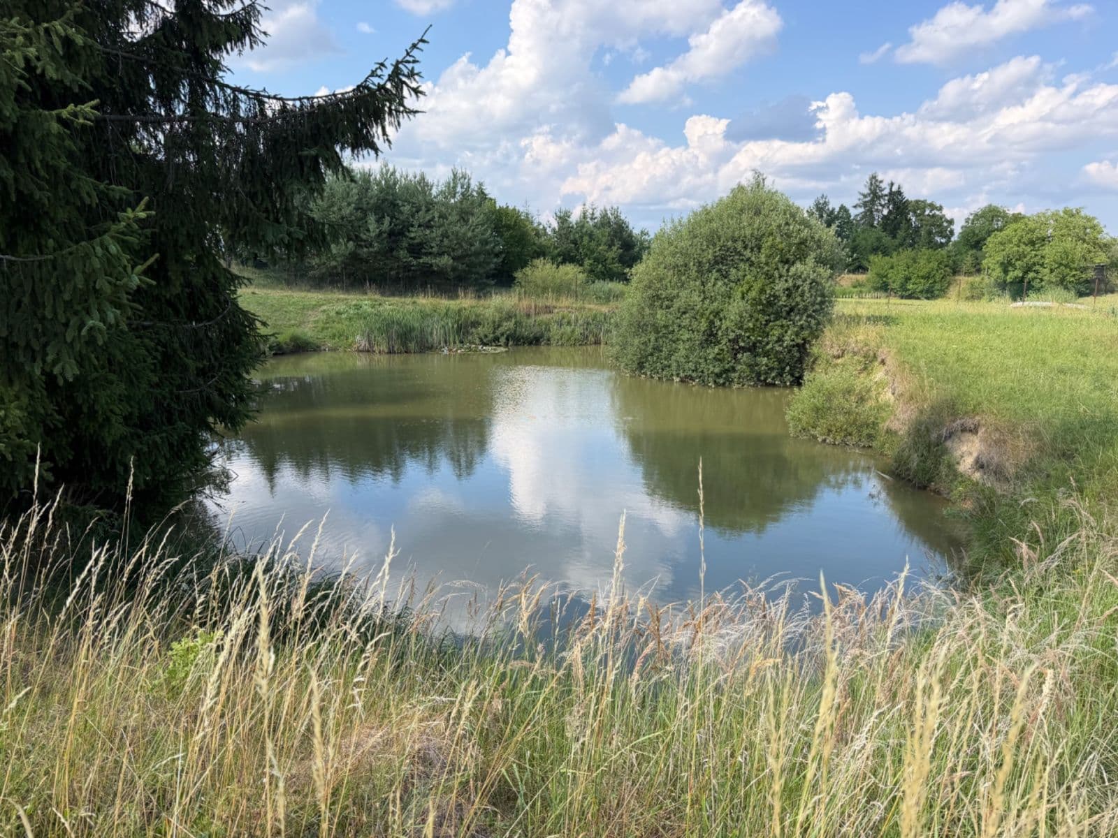 Predaj pozemku 1.767 m², Rudice, Jihomoravský kraj Predaj pozemku 1.767 m², Rudice, Jihomoravský kraj