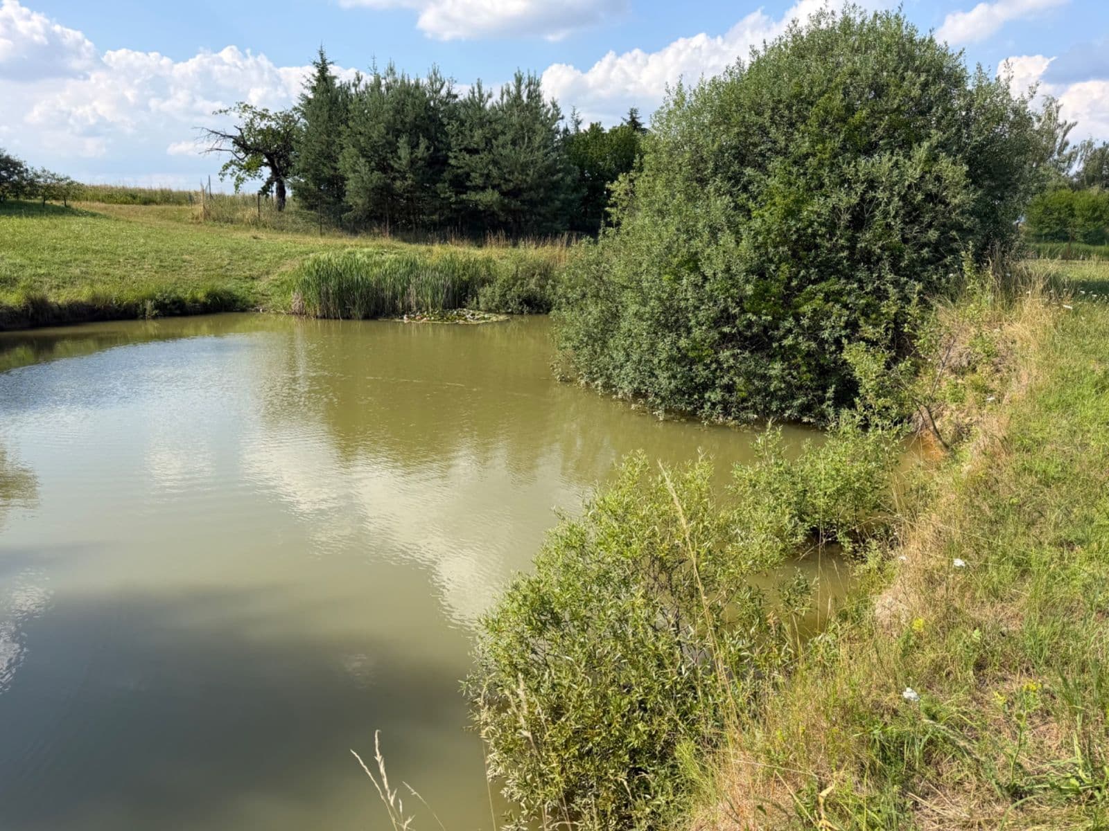 Predaj pozemku 1.767 m², Rudice, Jihomoravský kraj Predaj pozemku 1.767 m², Rudice, Jihomoravský kraj
