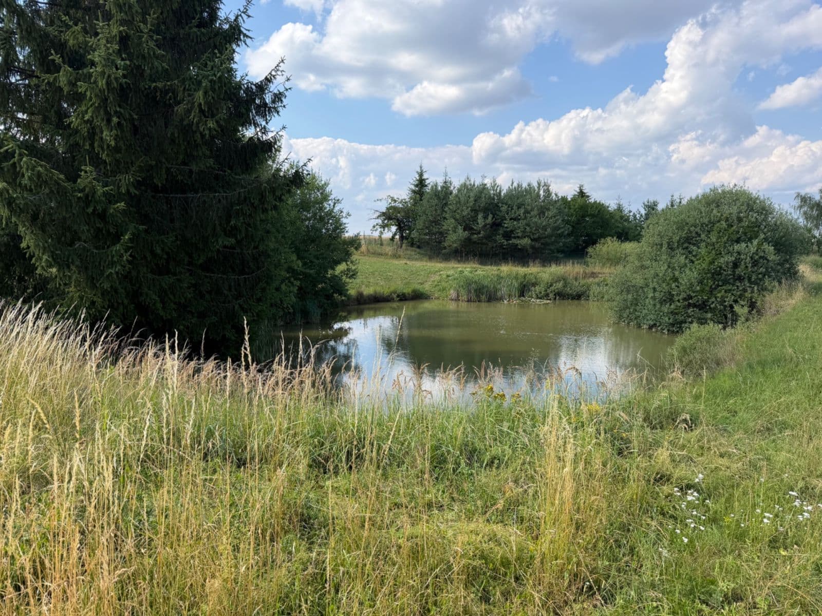 Predaj pozemku 1.767 m², Rudice, Jihomoravský kraj Predaj pozemku 1.767 m², Rudice, Jihomoravský kraj