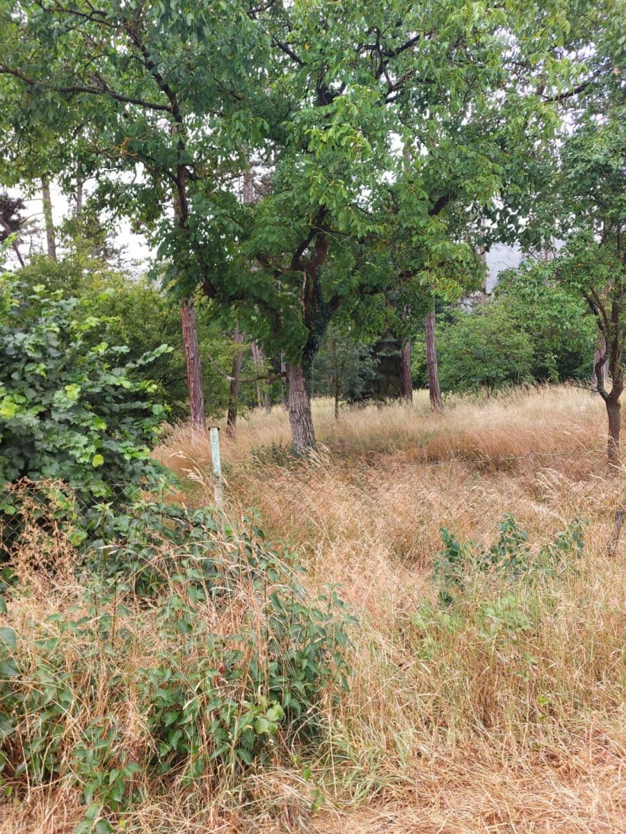 Predaj pozemku 2.498 m², Hradištko, Středočeský kraj Predaj pozemku 2.498 m², Hradištko, Středočeský kraj