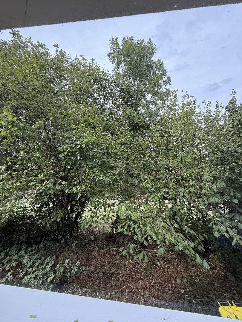 Prenájom bytu 4-izbový 91 m², Freiberg am Neckar, Bádensko-Wurttembersko Prenájom bytu 4-izbový 91 m², Freiberg am Neckar, Bádensko-Wurttembersko