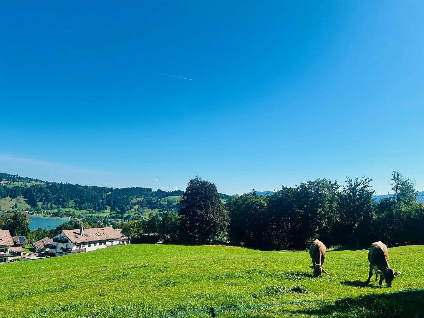 Predaj bytu 2-izbový 46 m², Gschwender-Horn-Weg 19, Immenstadt im Allgäu, Bavorsko Predaj bytu 2-izbový 46 m², Gschwender-Horn-Weg 19, Immenstadt im Allgäu, Bavorsko