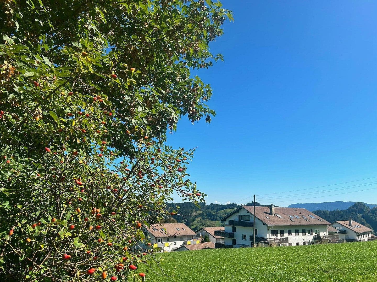Predaj bytu 2-izbový 46 m², Gschwender-Horn-Weg 19, Immenstadt im Allgäu, Bavorsko Predaj bytu 2-izbový 46 m², Gschwender-Horn-Weg 19, Immenstadt im Allgäu, Bavorsko