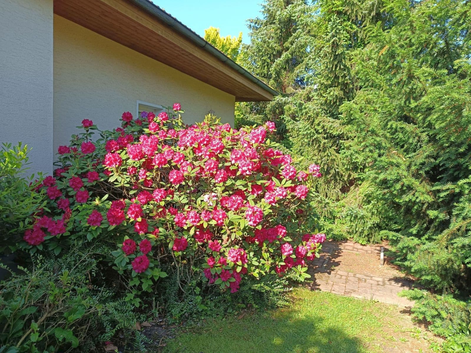 Predaj domu 180 m², pozemok 1.020 m², Ve Skále, Šestajovice, Středočeský kraj Predaj domu 180 m², pozemok 1.020 m², Ve Skále, Šestajovice, Středočeský kraj