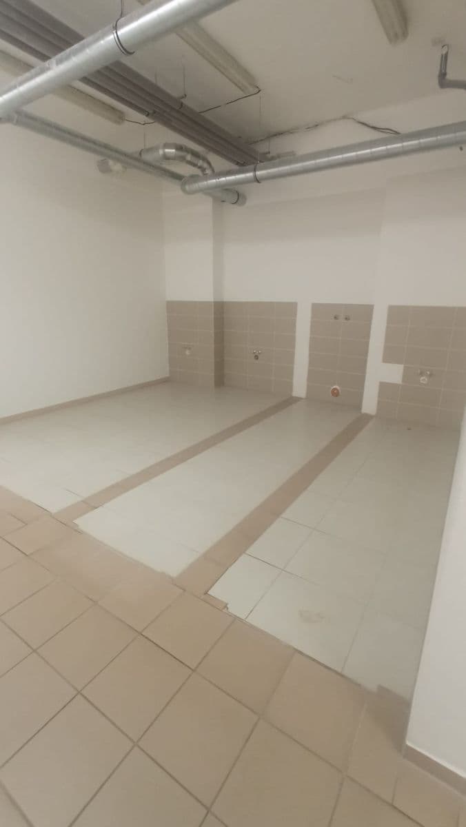 Prenájom nebytového priestoru 210 m², Bílanská, Kroměříž, Zlínský kraj Prenájom nebytového priestoru 210 m², Bílanská, Kroměříž, Zlínský kraj