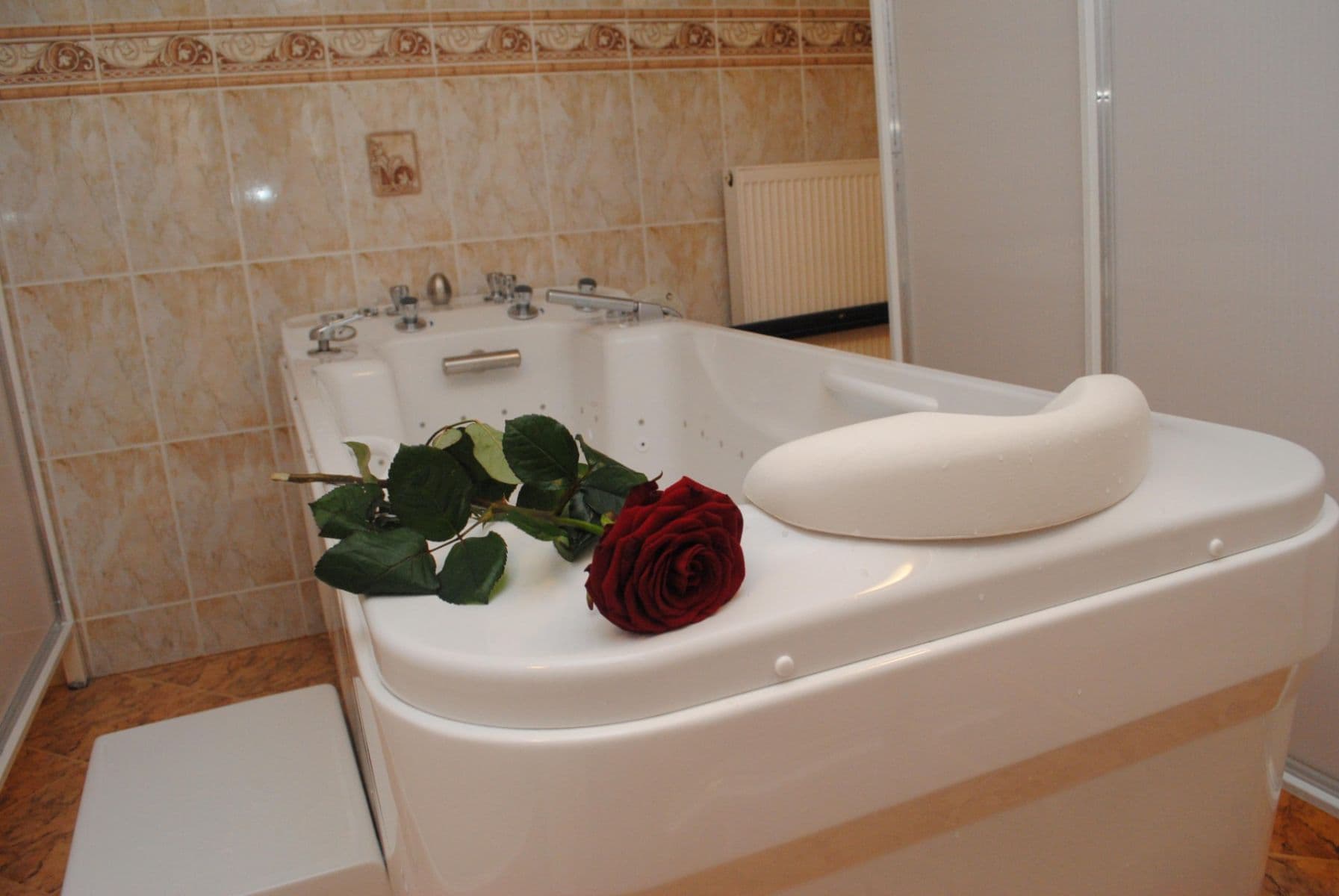 Prenájom domu 230 m², pozemok 382 m², Sadová, Karlovy Vary, Karlovarský kraj Prenájom domu 230 m², pozemok 382 m², Sadová, Karlovy Vary, Karlovarský kraj