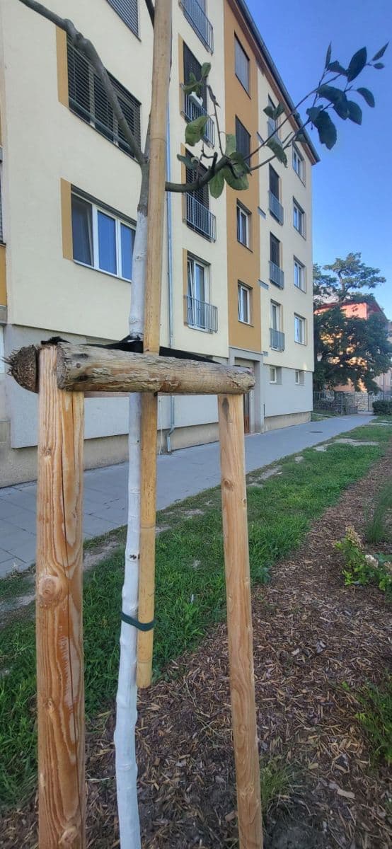 Predaj bytu 2-izbový 52 m², I. P. Pavlova, Olomouc, Olomoucký kraj Predaj bytu 2-izbový 52 m², I. P. Pavlova, Olomouc, Olomoucký kraj