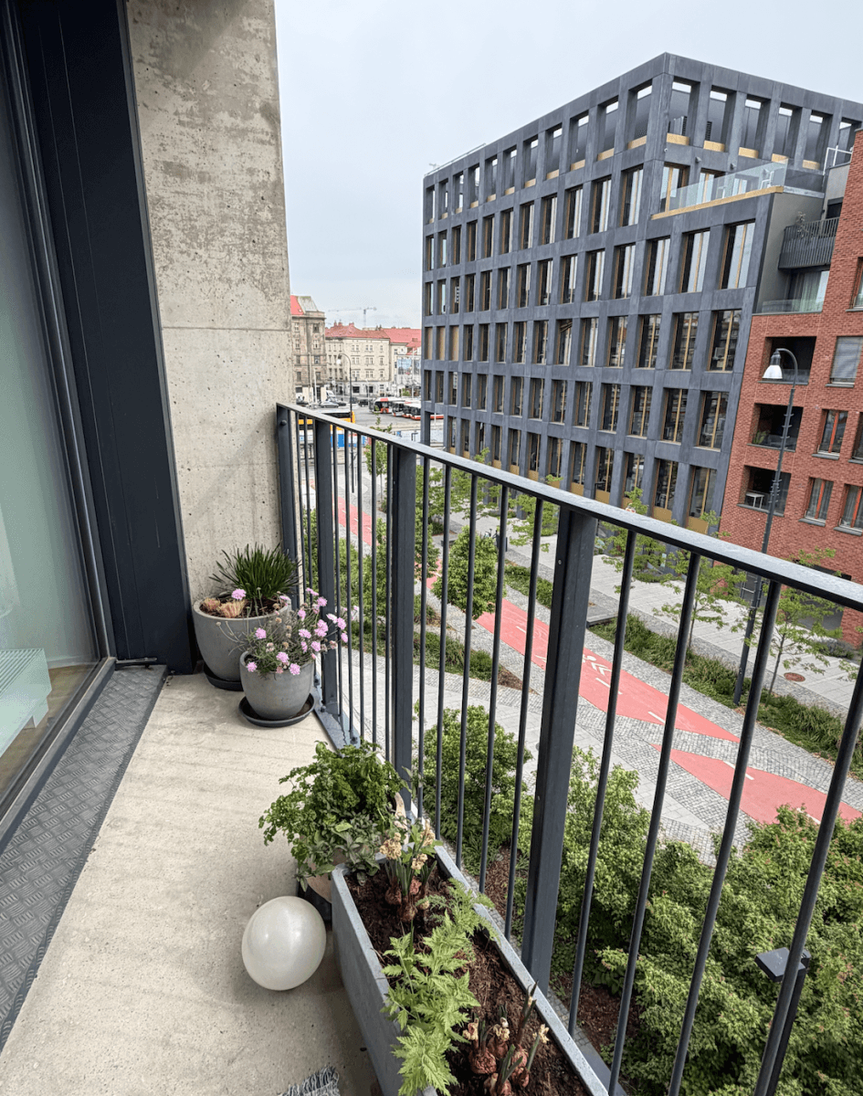 Prenájom bytu 2-izbový 64 m², Toyen, Praha, Praha Prenájom bytu 2-izbový 64 m², Toyen, Praha, Praha