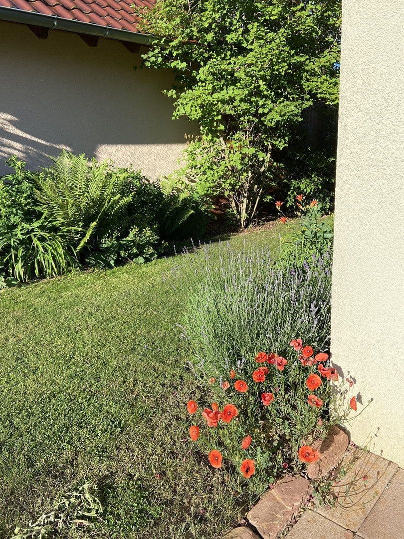 Predaj domu 224 m², pozemok 618 m², Schwäbisch Hall, Bádensko-Wurttembersko Predaj domu 224 m², pozemok 618 m², Schwäbisch Hall, Bádensko-Wurttembersko