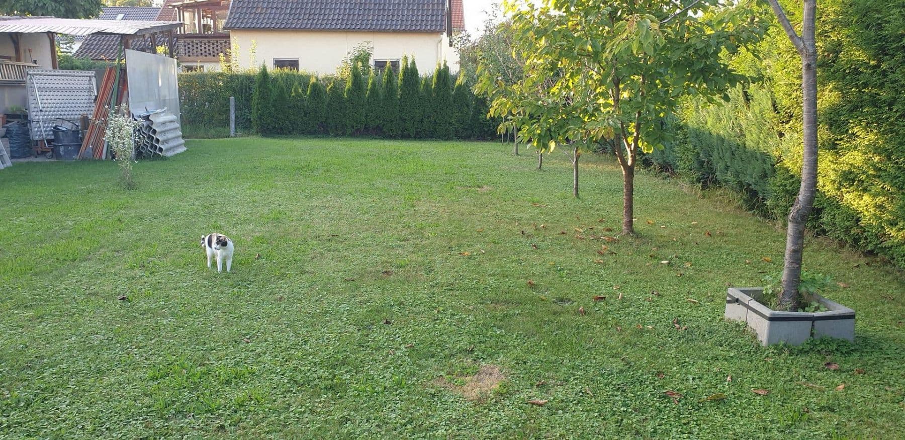 Predaj domu 235 m², pozemok 906 m², Waldkraiburg, Bavorsko Predaj domu 235 m², pozemok 906 m², Waldkraiburg, Bavorsko