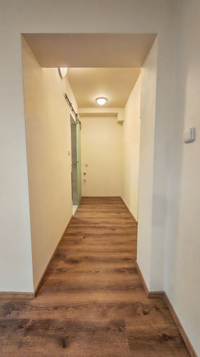 Prenájom bytu 1-izbový 30 m², Lukešova, Praha, Praha Prenájom bytu 1-izbový 30 m², Lukešova, Praha, Praha