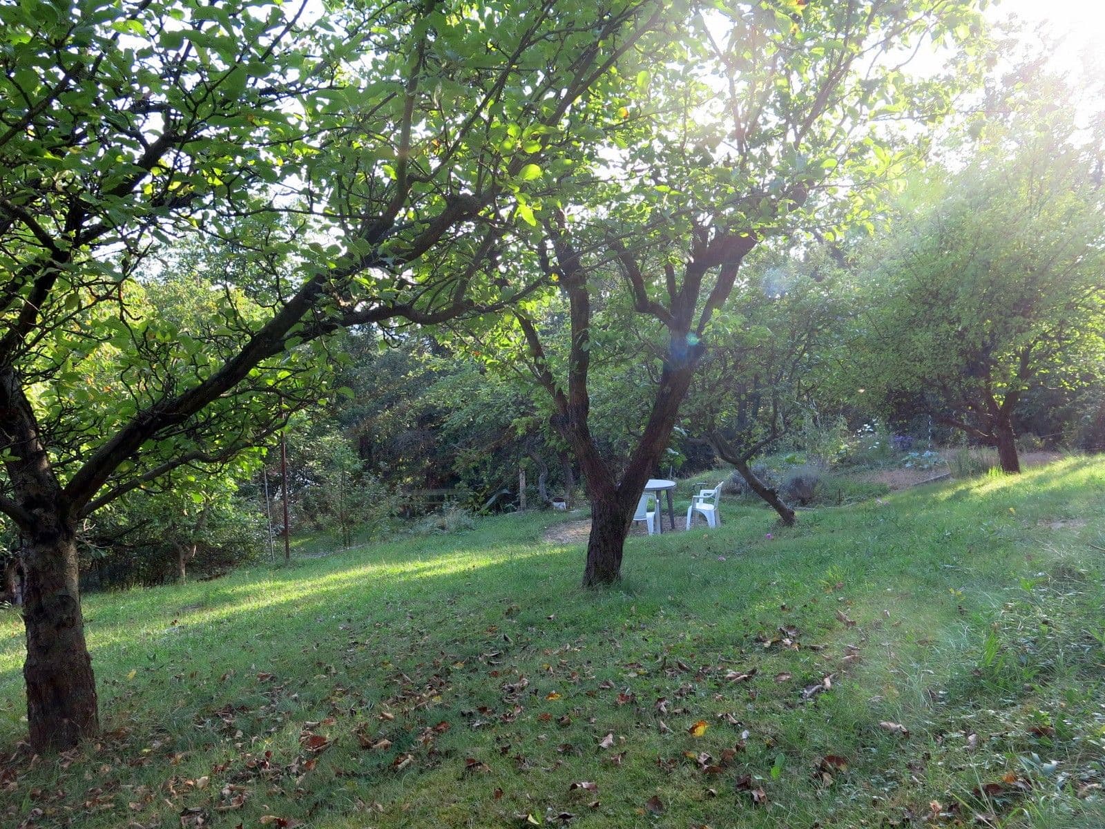 Predaj domu 427 m², pozemok 1.676 m², Nad Údolím, Praha, Praha Predaj domu 427 m², pozemok 1.676 m², Nad Údolím, Praha, Praha