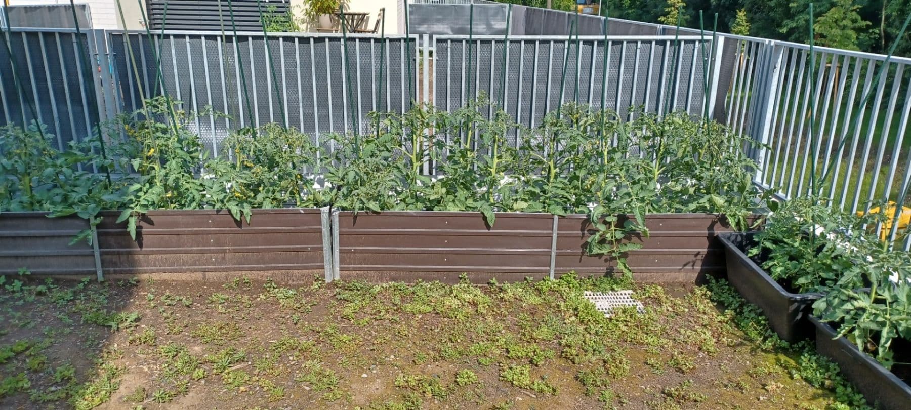 Prenájom bytu 1-izbový 39 m², Odolena Voda, Středočeský kraj Prenájom bytu 1-izbový 39 m², Odolena Voda, Středočeský kraj