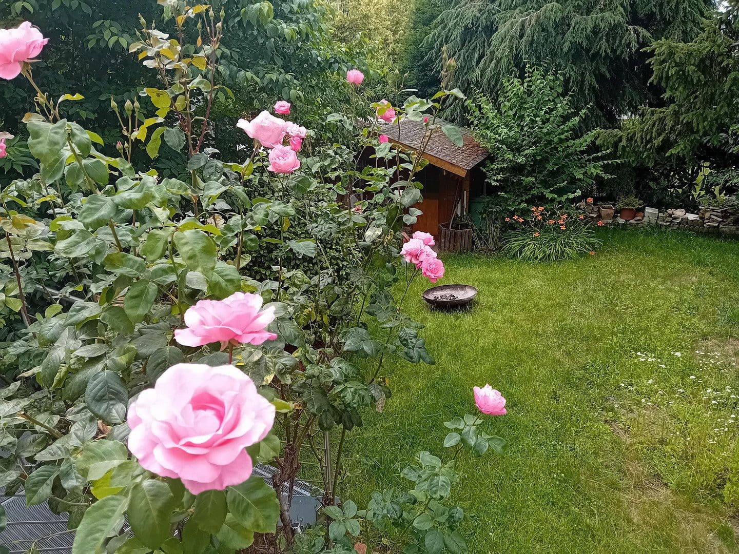 Predaj domu 135 m², pozemok 286 m², Weinheim, Bádensko-Wurttembersko Predaj domu 135 m², pozemok 286 m², Weinheim, Bádensko-Wurttembersko