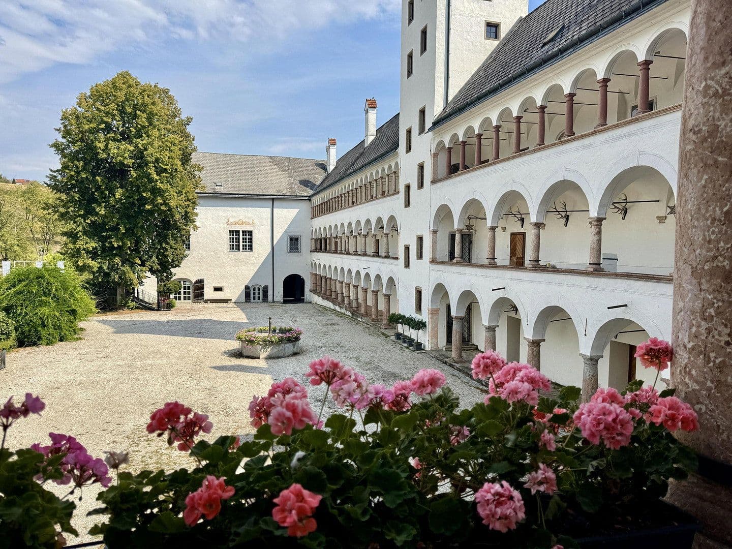 Prenájom bytu 3-izbový 148 m², Grieskirchen, Horné Rakúsko Prenájom bytu 3-izbový 148 m², Grieskirchen, Horné Rakúsko