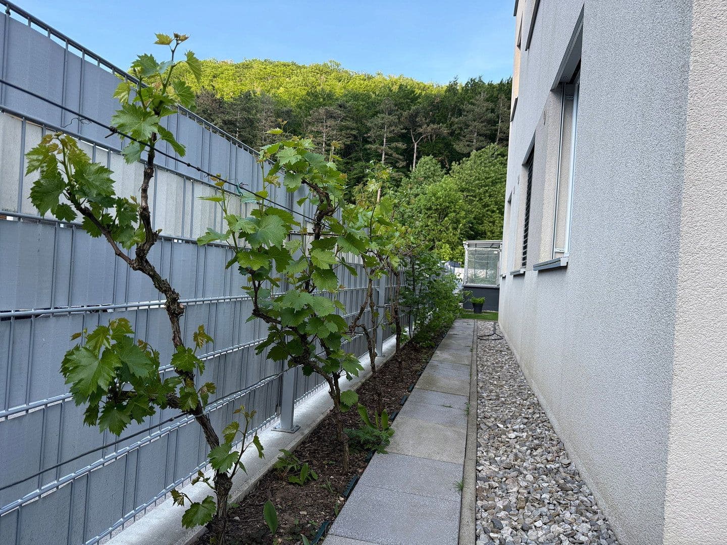 Predaj bytu 4-izbový 88 m², Purkersdorf, Dolné Rakúsko Predaj bytu 4-izbový 88 m², Purkersdorf, Dolné Rakúsko