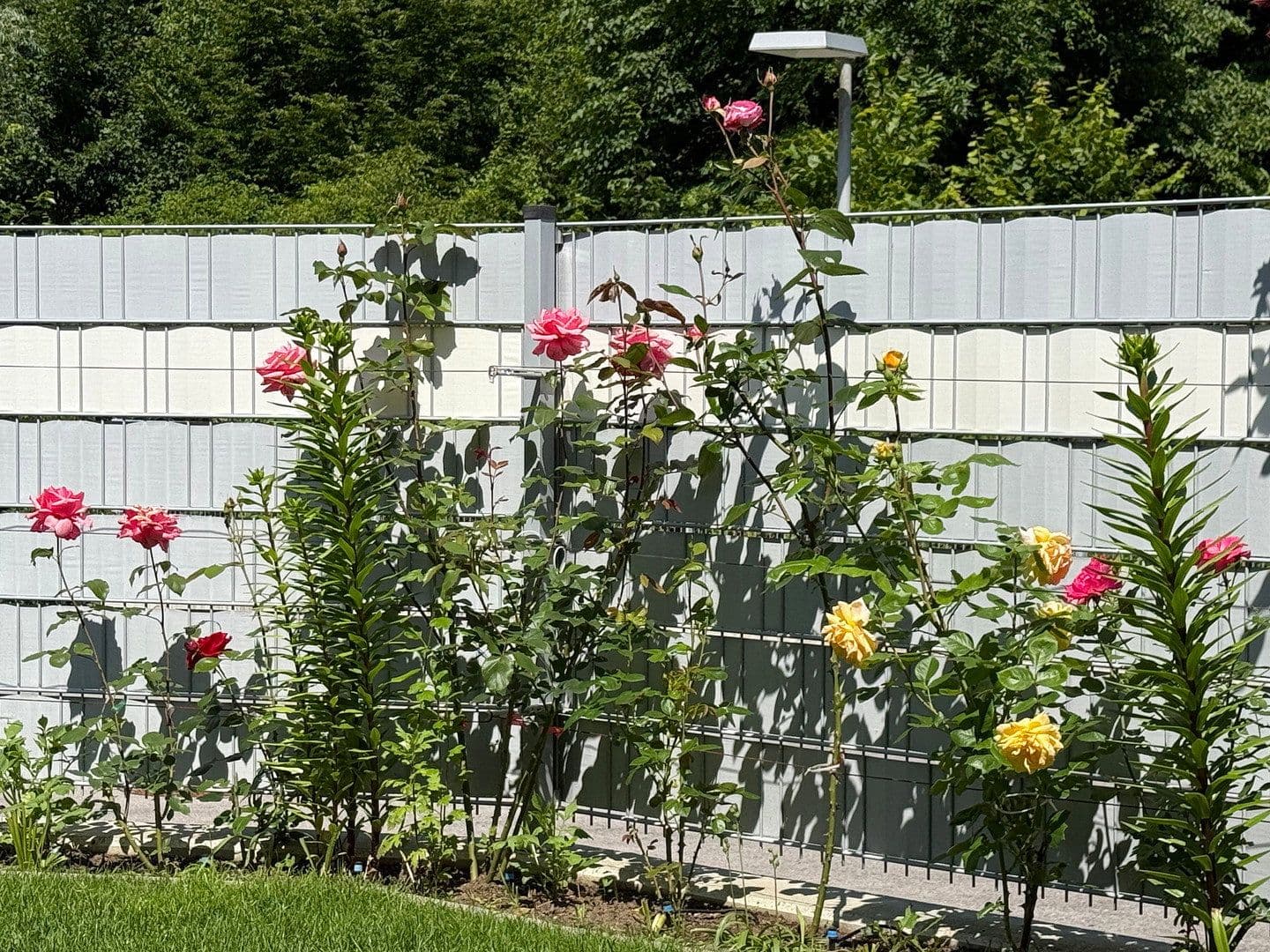Predaj bytu 4-izbový 88 m², Purkersdorf, Dolné Rakúsko Predaj bytu 4-izbový 88 m², Purkersdorf, Dolné Rakúsko