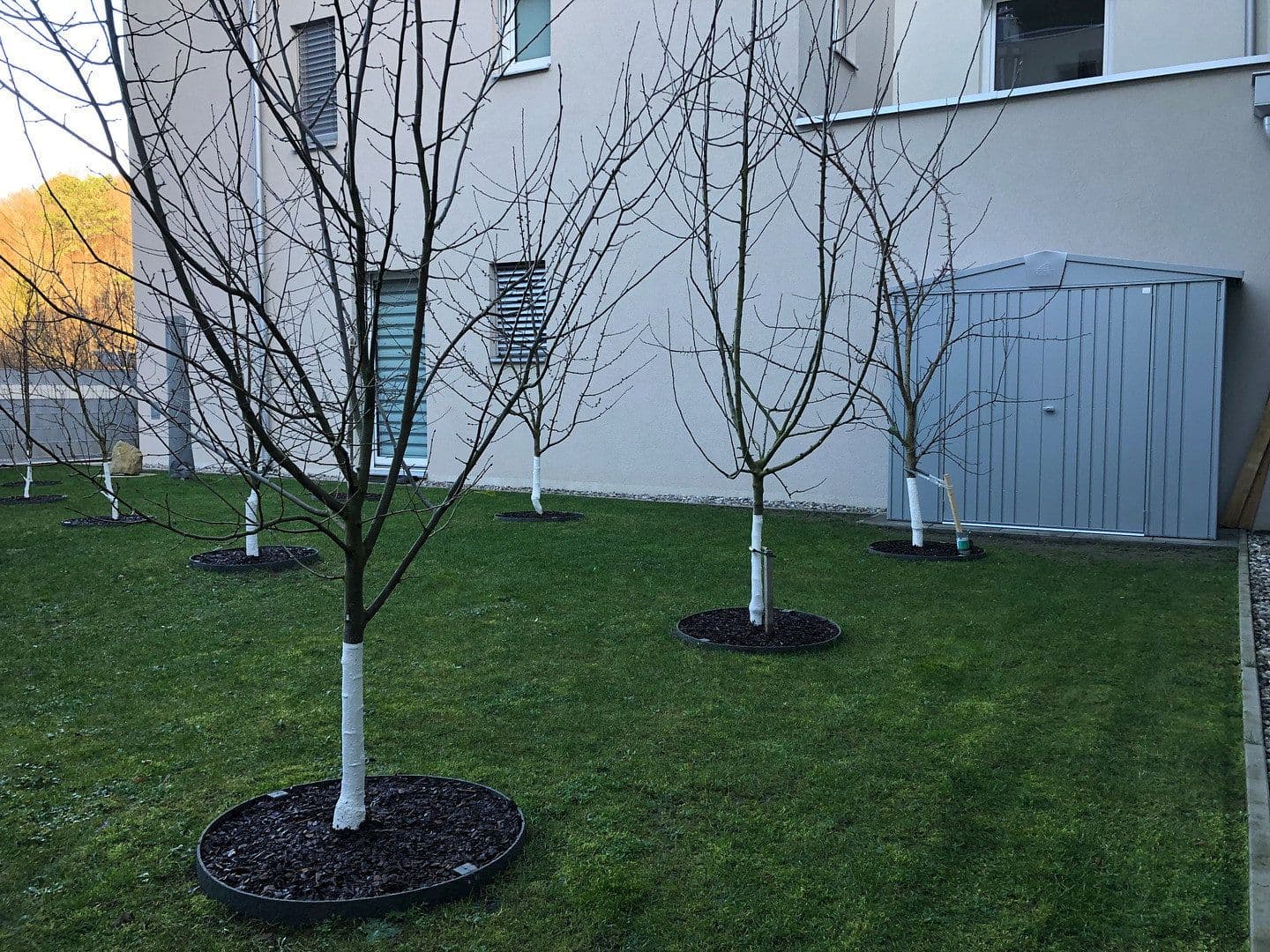 Predaj bytu 4-izbový 88 m², Purkersdorf, Dolné Rakúsko Predaj bytu 4-izbový 88 m², Purkersdorf, Dolné Rakúsko