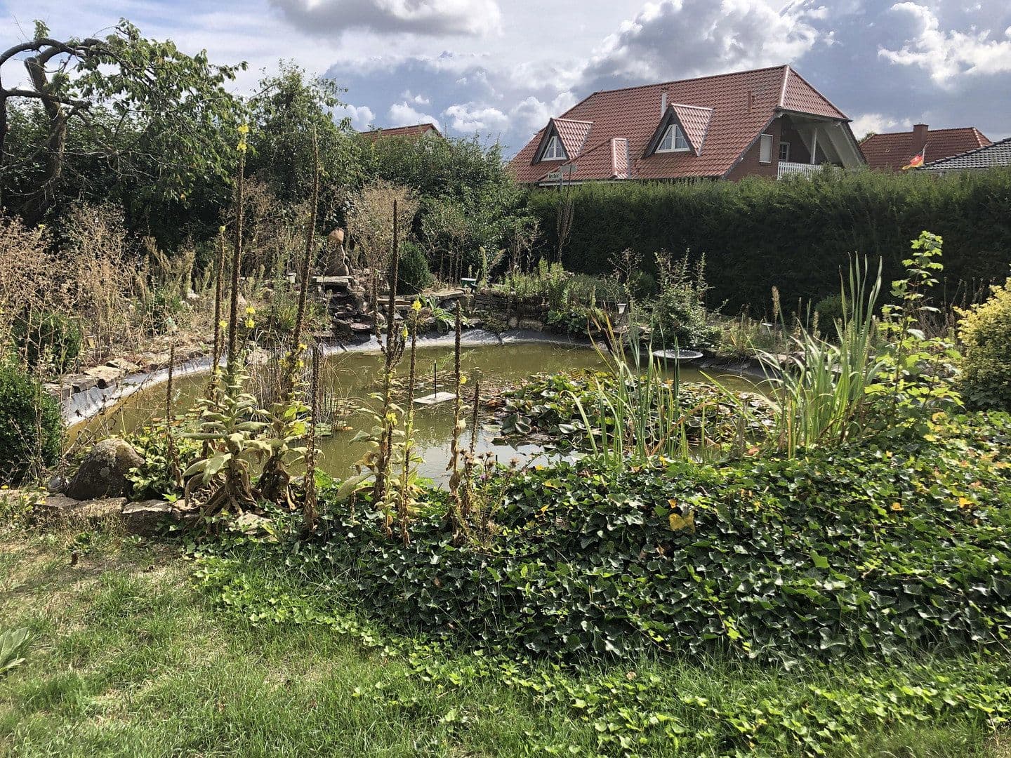 Predaj domu 145 m², pozemok 1.530 m², Kirchberg 22, Königslutter am Elm, Dolné Sasko Predaj domu 145 m², pozemok 1.530 m², Kirchberg 22, Königslutter am Elm, Dolné Sasko