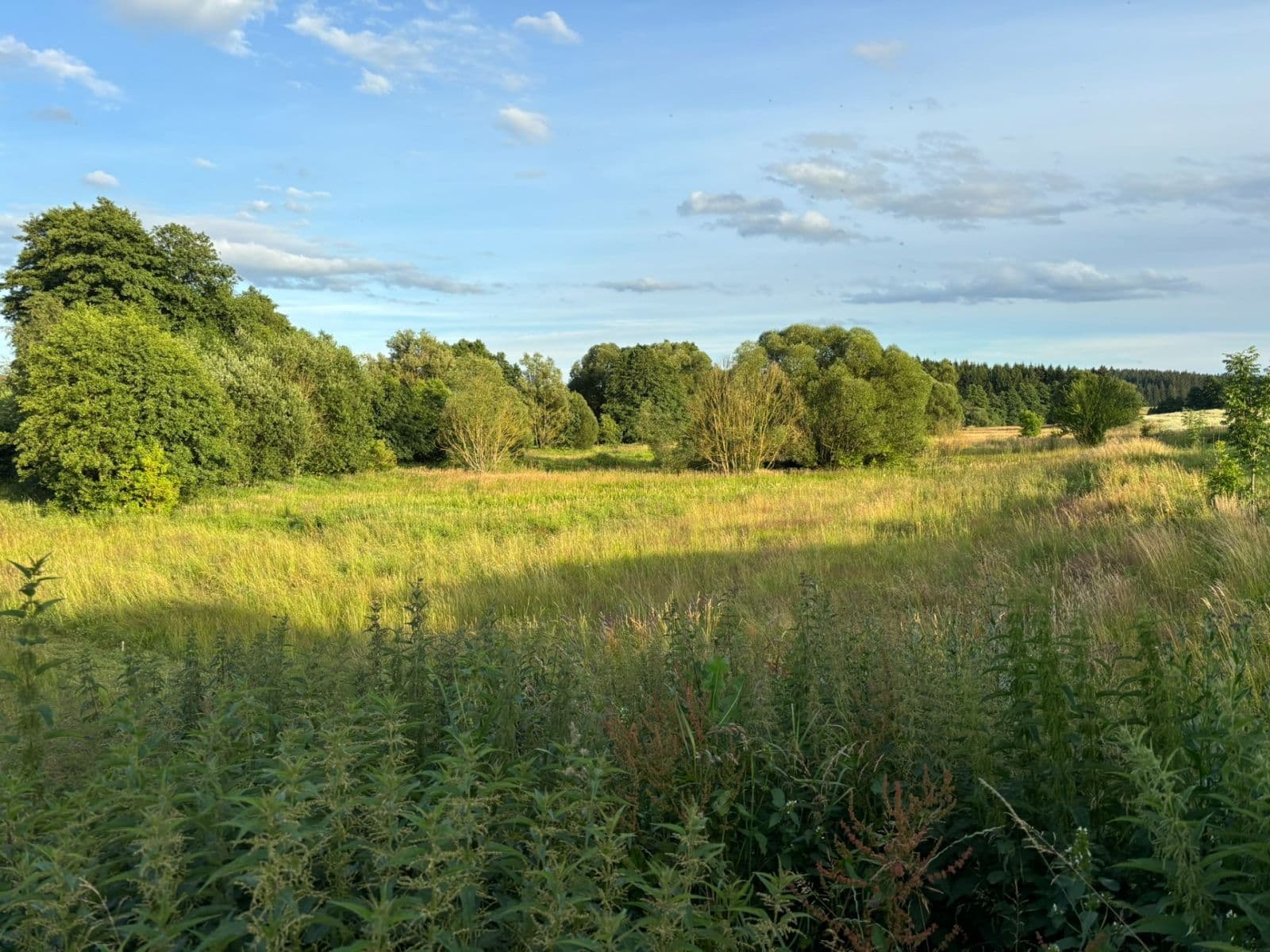Predaj pozemku 1.425 m², Lhotka, Kraj Vysočina Predaj pozemku 1.425 m², Lhotka, Kraj Vysočina