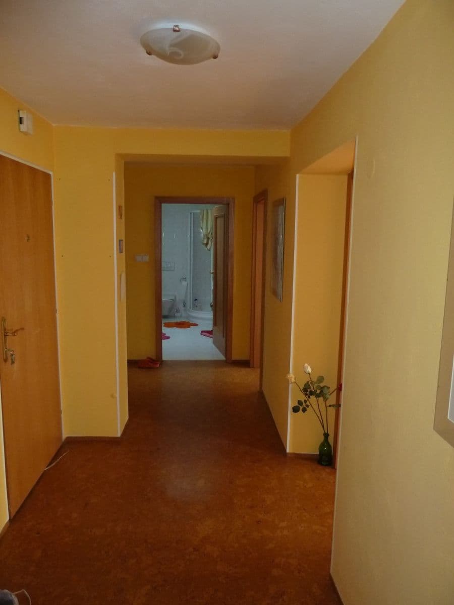Prenájom bytu 4-izbový 125 m², Viniční, Brno, Jihomoravský kraj Prenájom bytu 4-izbový 125 m², Viniční, Brno, Jihomoravský kraj