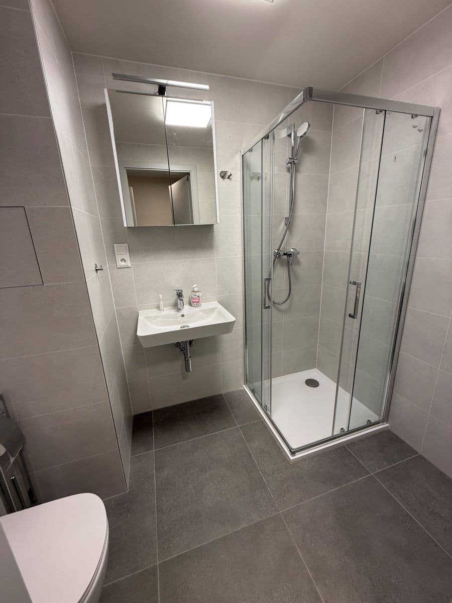 Prenájom bytu 1-izbový 33 m², Jáchymovská, Praha, Praha Prenájom bytu 1-izbový 33 m², Jáchymovská, Praha, Praha