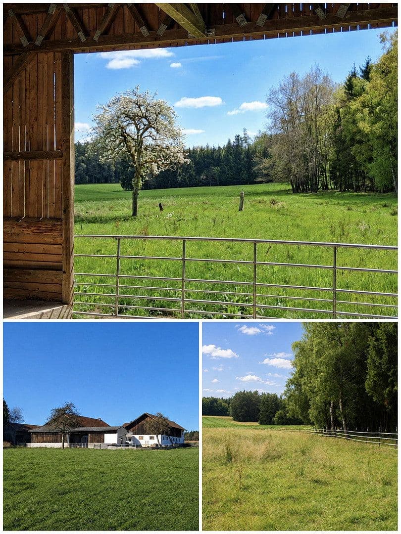 Predaj domu 147 m², pozemok 13.000 m², Egglham, Bavorsko Predaj domu 147 m², pozemok 13.000 m², Egglham, Bavorsko