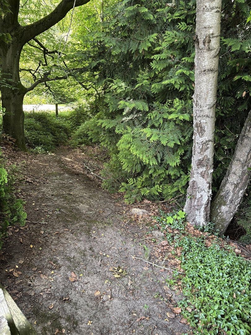 Predaj domu 65 m², pozemok 944 m², Bassum, Dolné Sasko Predaj domu 65 m², pozemok 944 m², Bassum, Dolné Sasko