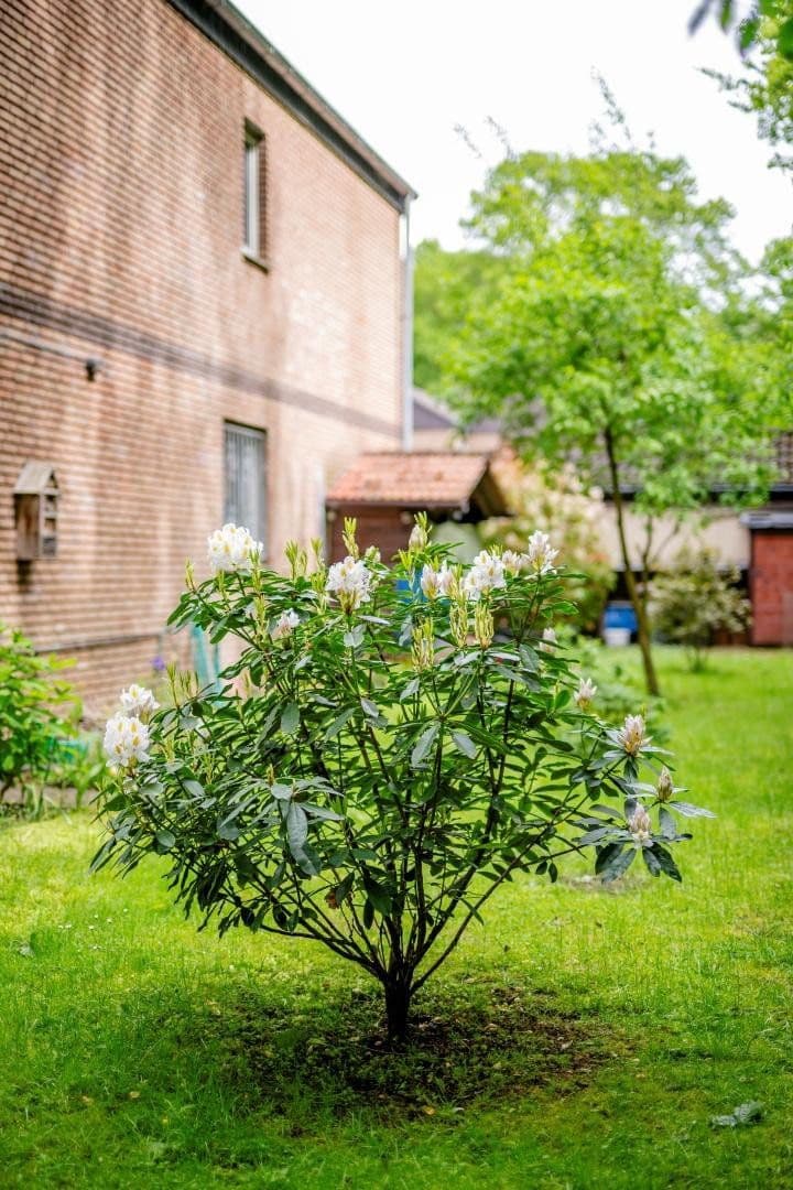 Predaj domu 113 m², pozemok 564 m², Marl, Severné Porýnie - Westfálsko Predaj domu 113 m², pozemok 564 m², Marl, Severné Porýnie - Westfálsko
