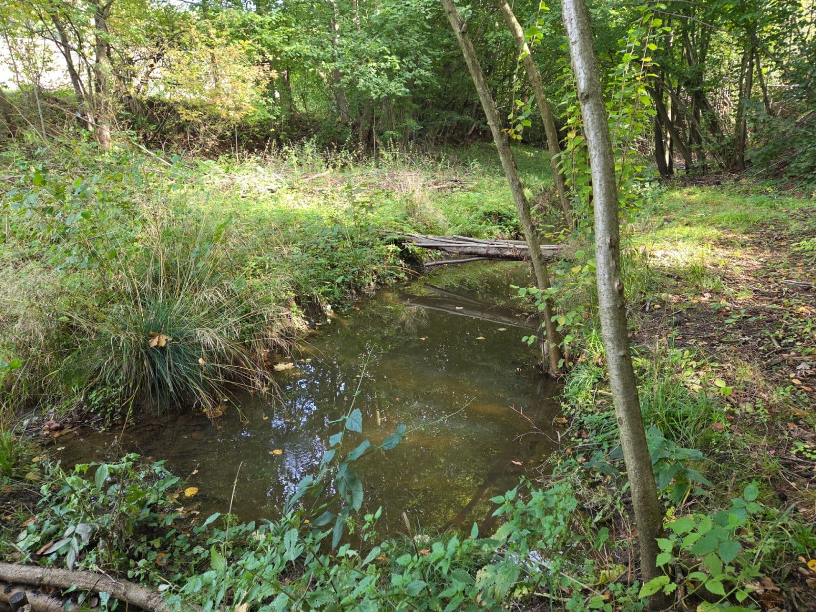 Predaj pozemku 22.420 m², Horní Bečva, Zlínský kraj Predaj pozemku 22.420 m², Horní Bečva, Zlínský kraj