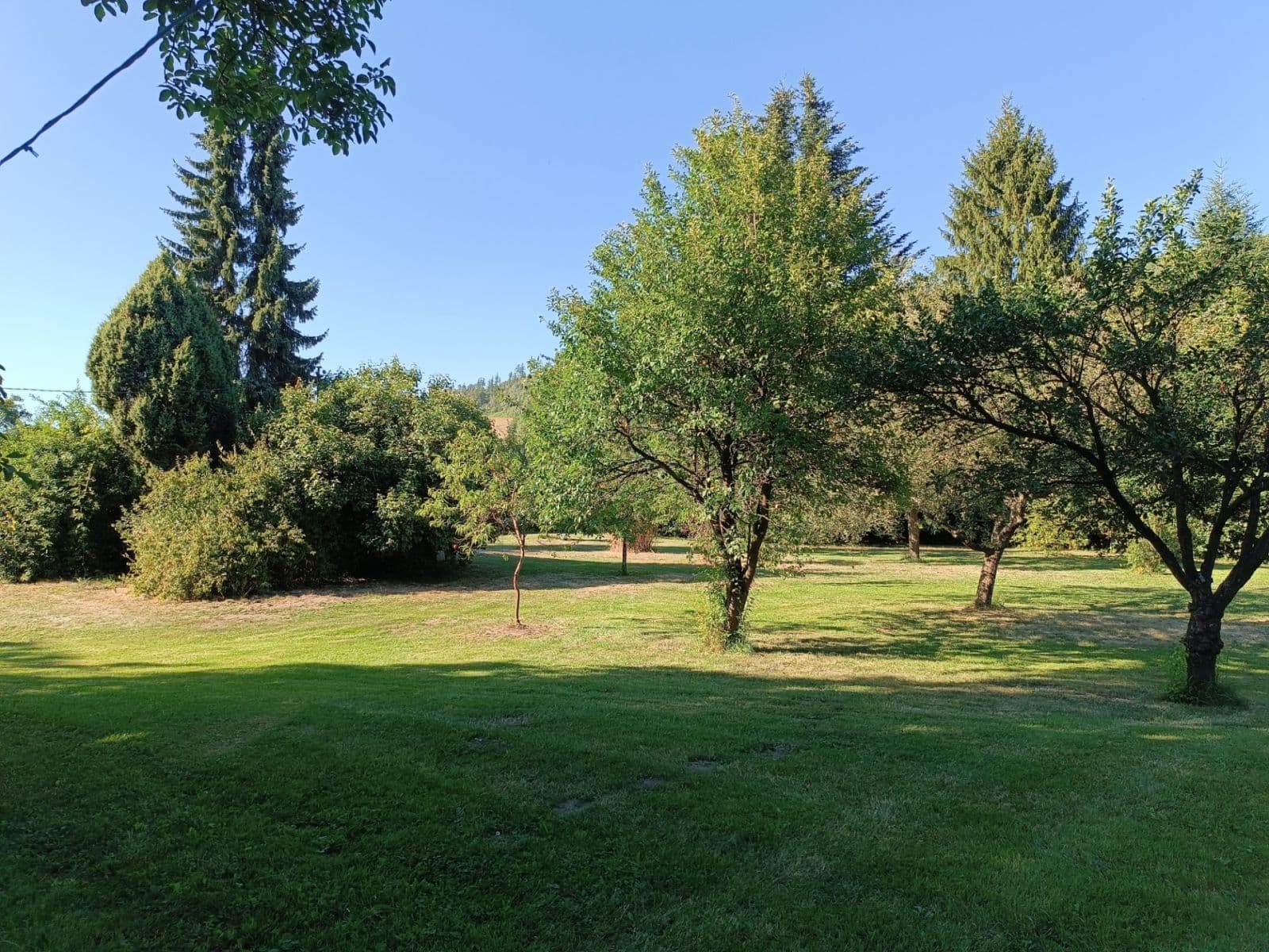Predaj domu 175 m², pozemok 3.000 m², Město Albrechtice, Moravskoslezský kraj Predaj domu 175 m², pozemok 3.000 m², Město Albrechtice, Moravskoslezský kraj