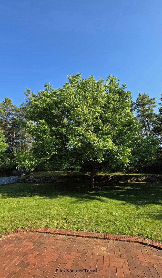 Predaj domu 177 m², pozemok 2.100 m², Hohenburg, Bavorsko Predaj domu 177 m², pozemok 2.100 m², Hohenburg, Bavorsko