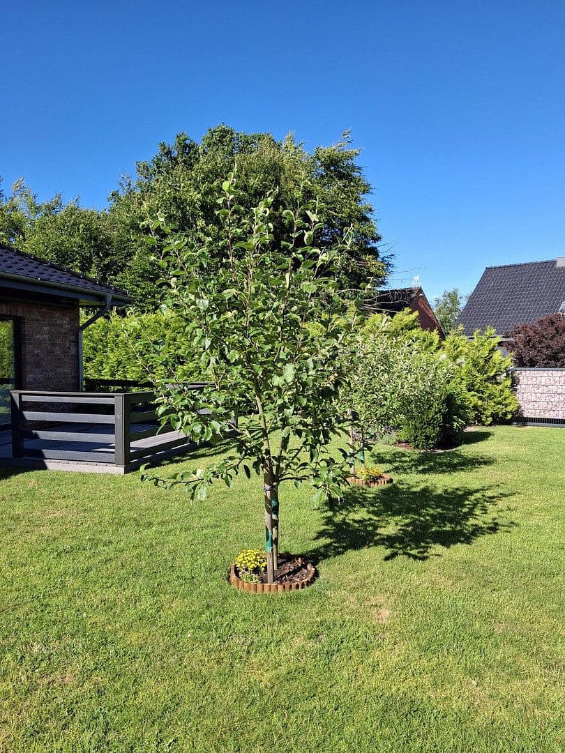 Predaj domu 69 m², pozemok 553 m², Alt Bennebek, Šlezvicko-Holštajnsko Predaj domu 69 m², pozemok 553 m², Alt Bennebek, Šlezvicko-Holštajnsko