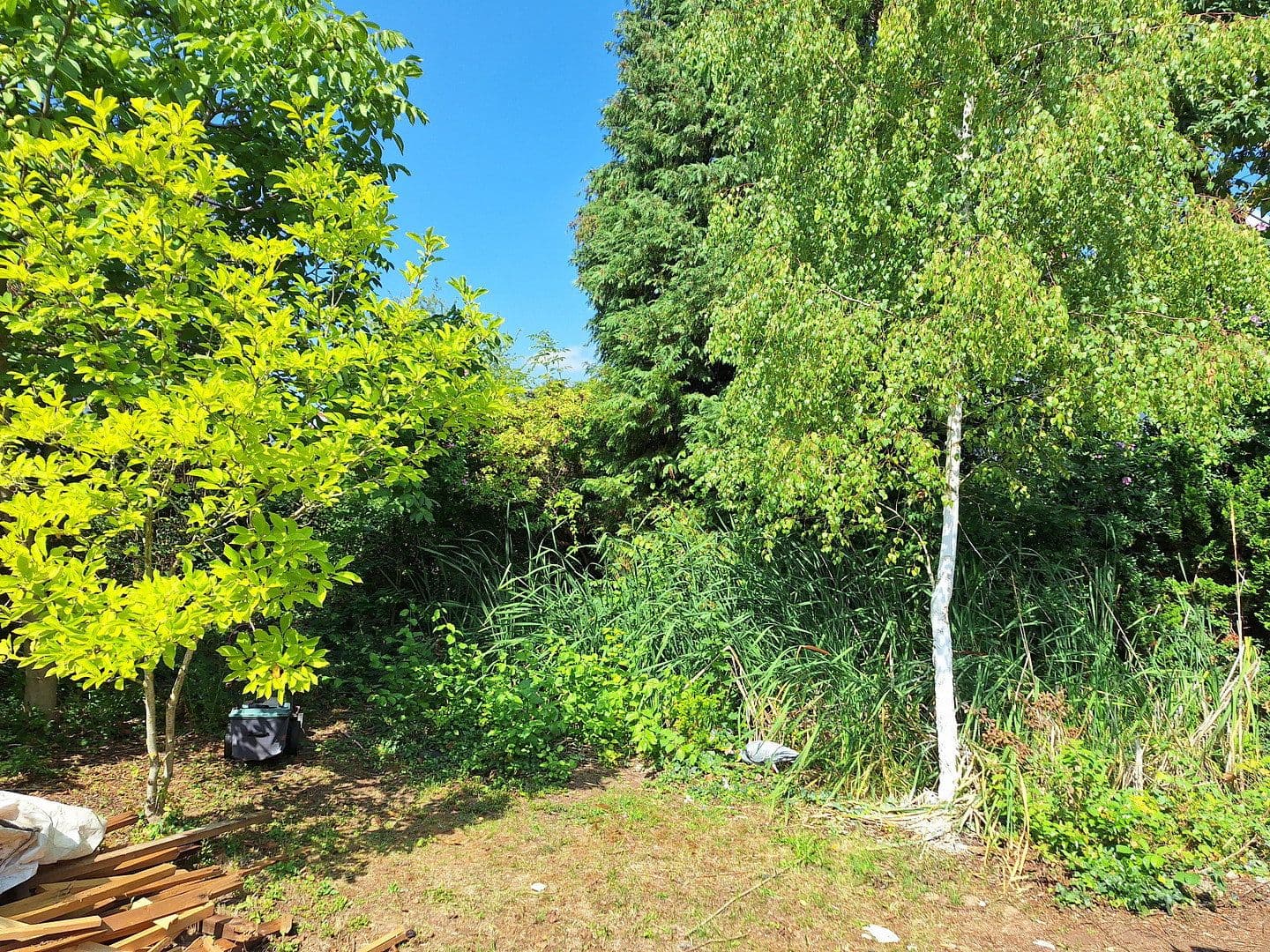 Predaj domu 210 m², pozemok 1.451 m², Am Kirschberg 29, Worms, Porýnie-Falcko Predaj domu 210 m², pozemok 1.451 m², Am Kirschberg 29, Worms, Porýnie-Falcko