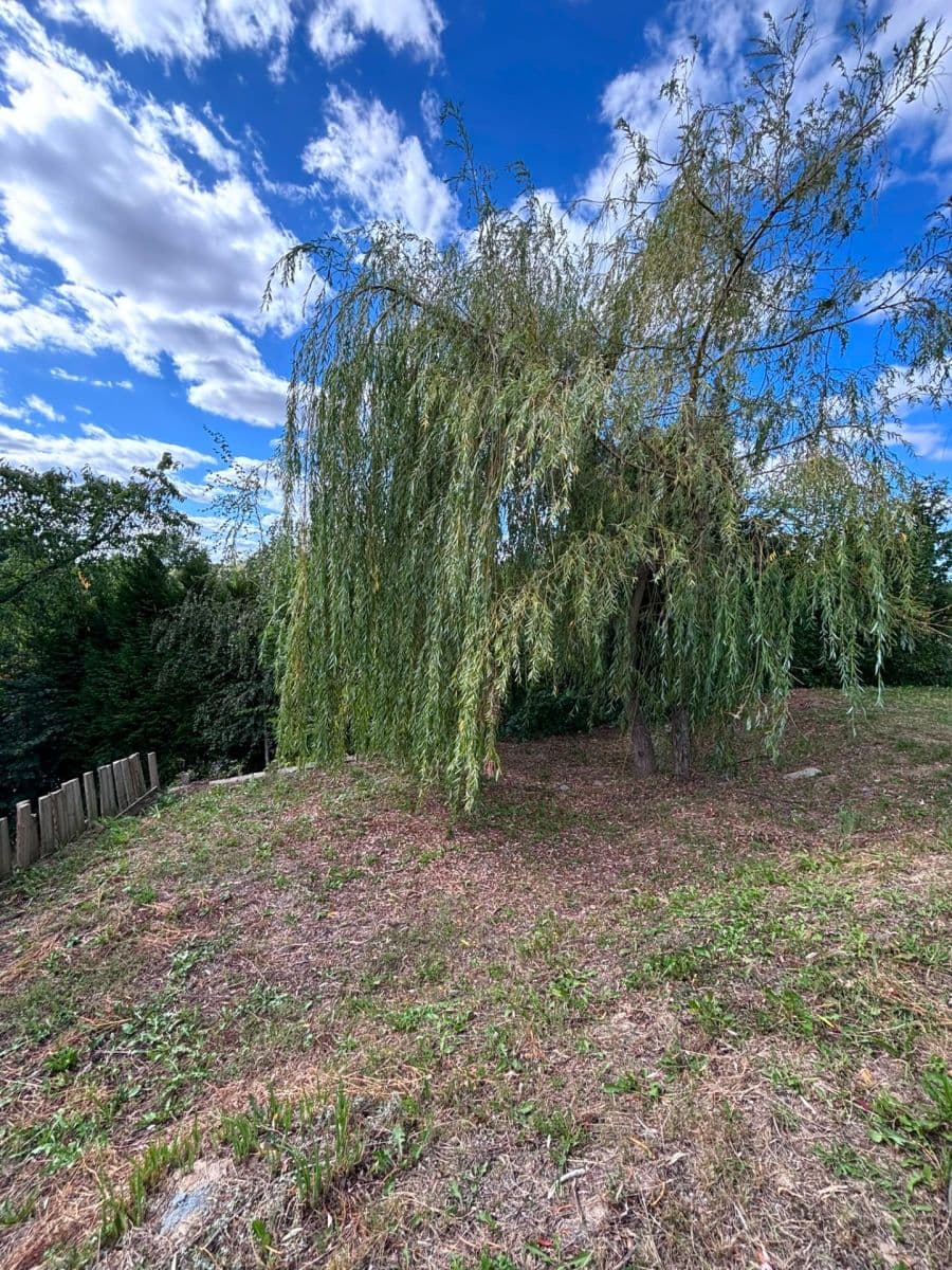 Predaj rekreačného objektu 16 m², pozemok 312 m², U Zahrádek, Klimkovice, Moravskoslezský kraj Predaj rekreačného objektu 16 m², pozemok 312 m², U Zahrádek, Klimkovice, Moravskoslezský kraj