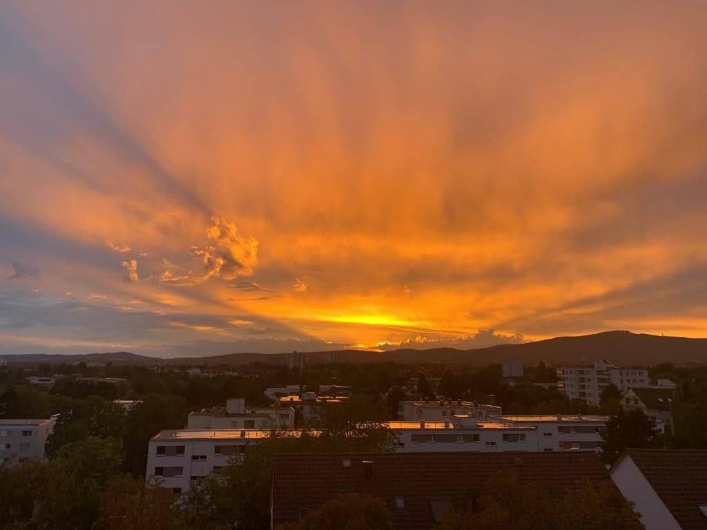 Predaj bytu 3-izbový 64 m², Steinbach (Taunus), Hesensko Predaj bytu 3-izbový 64 m², Steinbach (Taunus), Hesensko