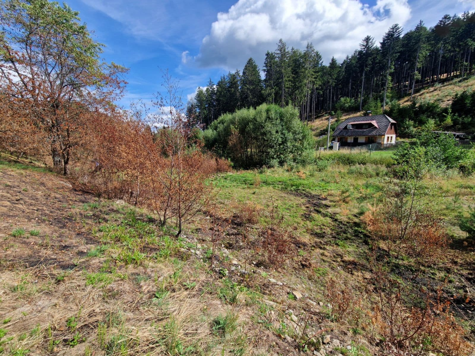 Predaj pozemku 15.955 m², Žihobce, Plzeňský kraj Predaj pozemku 15.955 m², Žihobce, Plzeňský kraj