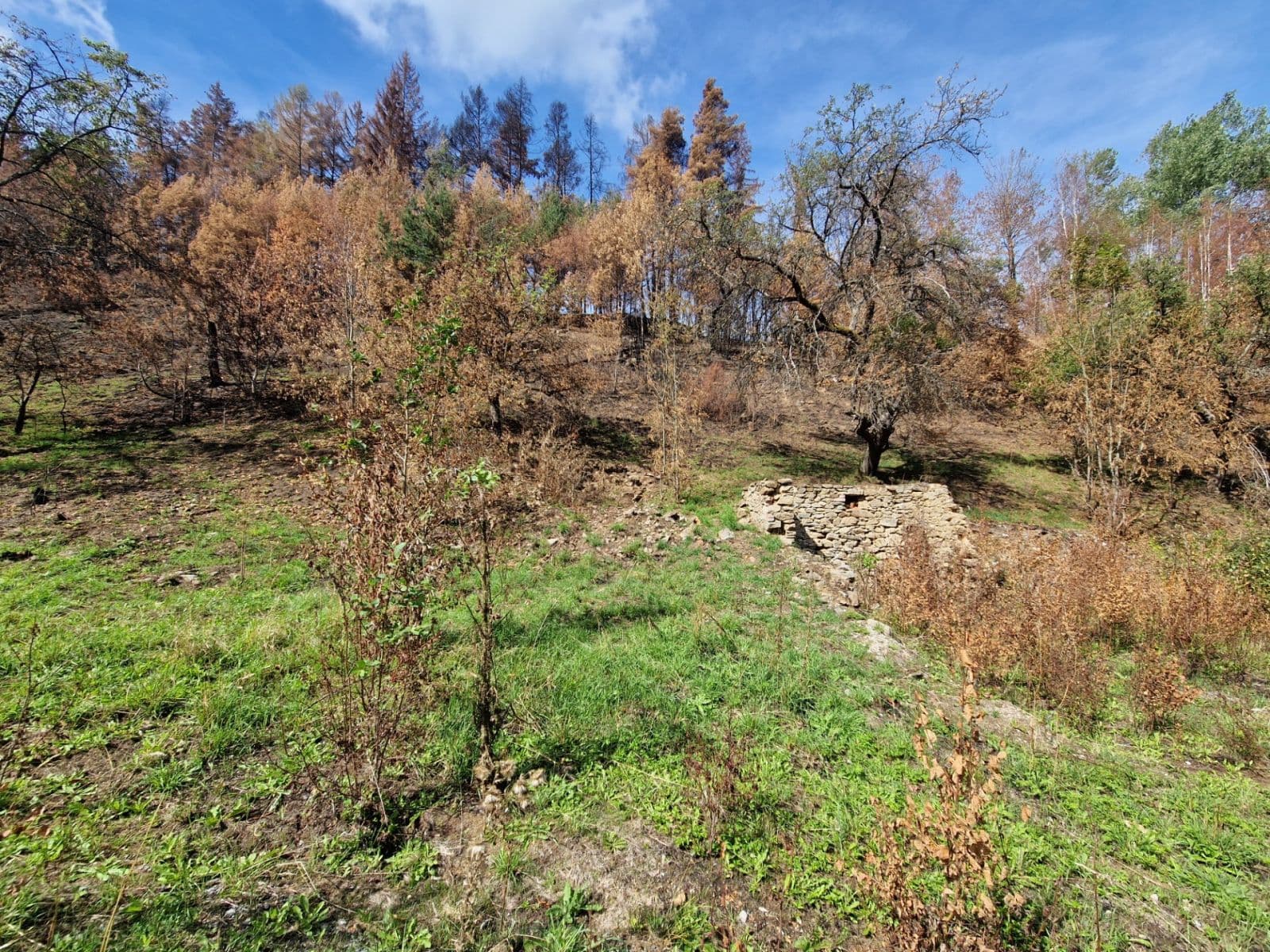 Predaj pozemku 15.955 m², Žihobce, Plzeňský kraj Predaj pozemku 15.955 m², Žihobce, Plzeňský kraj