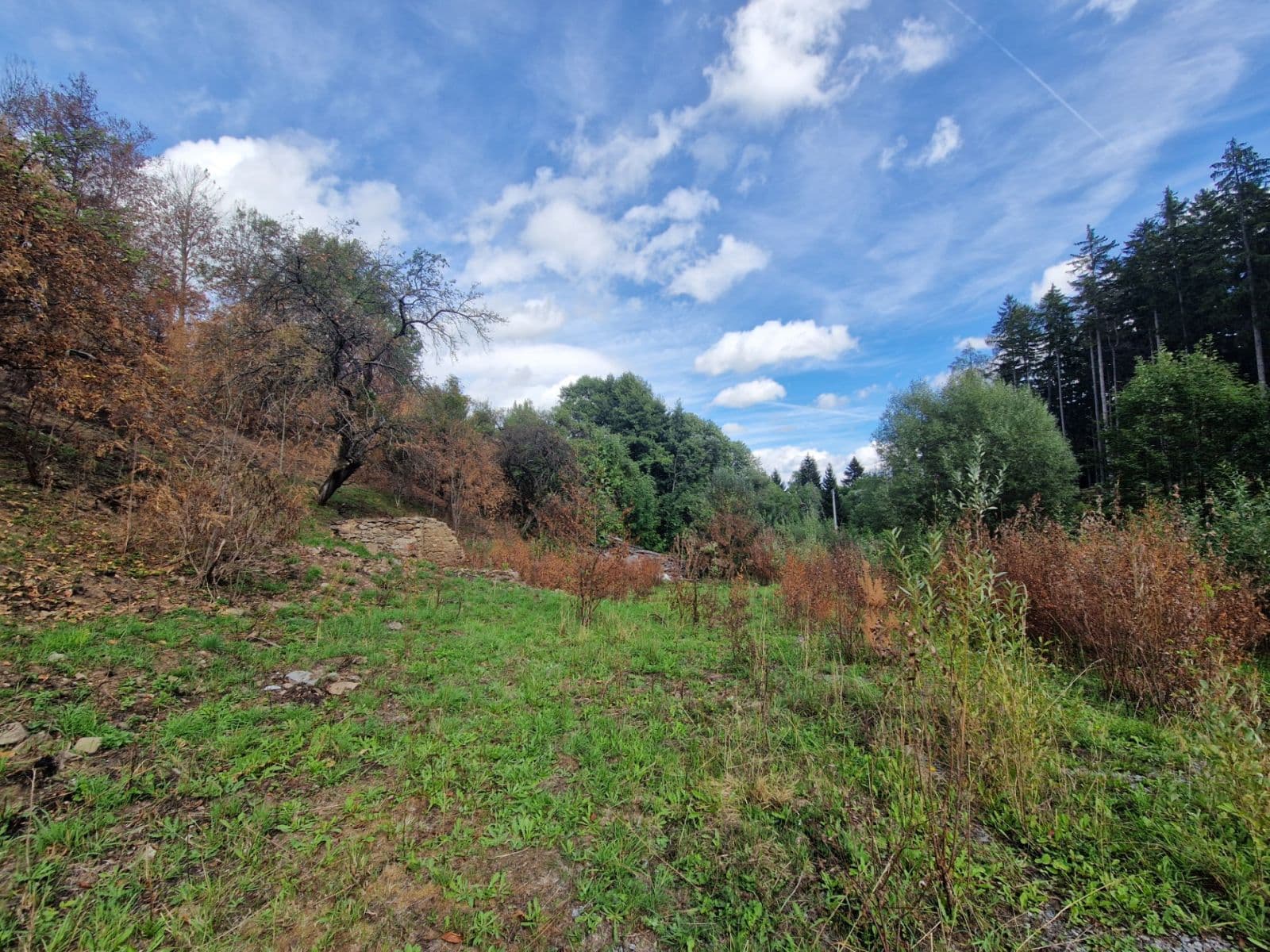 Predaj pozemku 15.955 m², Žihobce, Plzeňský kraj Predaj pozemku 15.955 m², Žihobce, Plzeňský kraj
