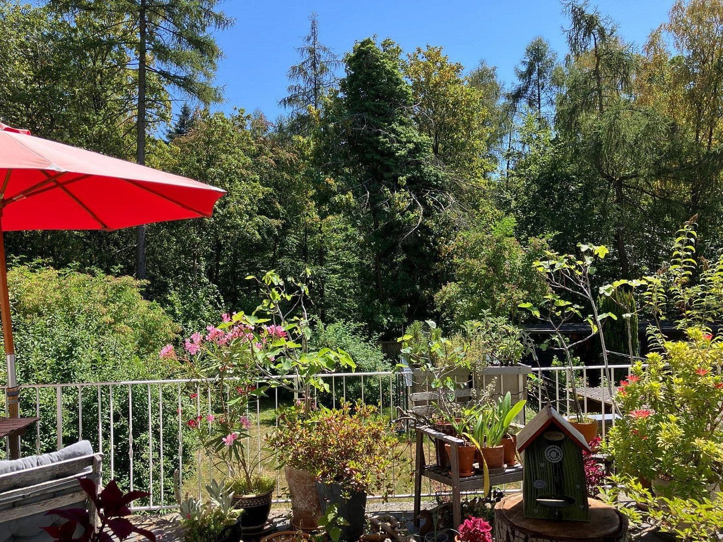 Prenájom domu 195 m², pozemok 500 m², Am Hirschsprung 20, Königstein im Taunus, Hesensko Prenájom domu 195 m², pozemok 500 m², Am Hirschsprung 20, Königstein im Taunus, Hesensko