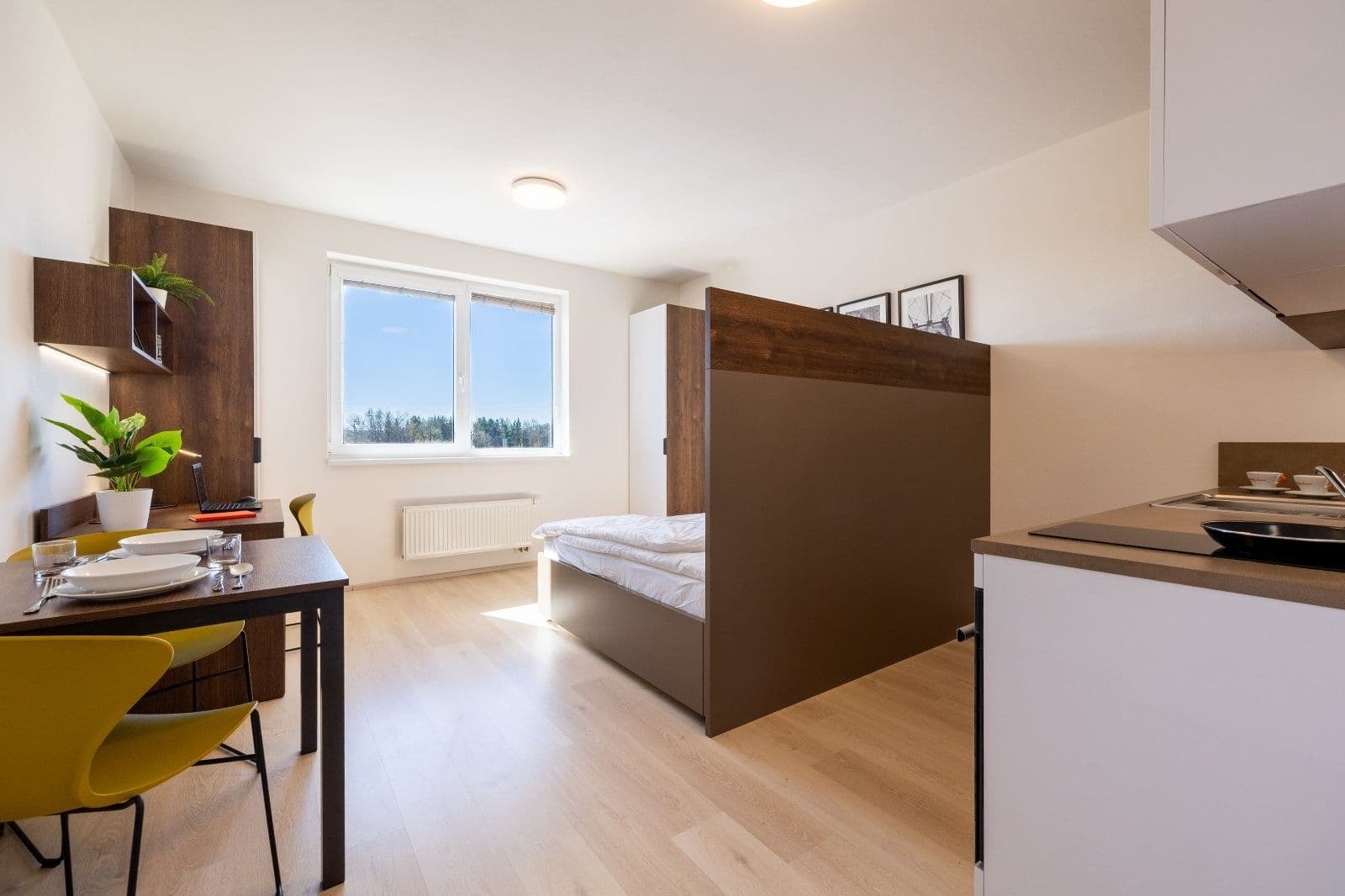 Prenájom bytu 1-izbový 27 m², Magisterská, Plzeň, Plzeňský kraj Prenájom bytu 1-izbový 27 m², Magisterská, Plzeň, Plzeňský kraj