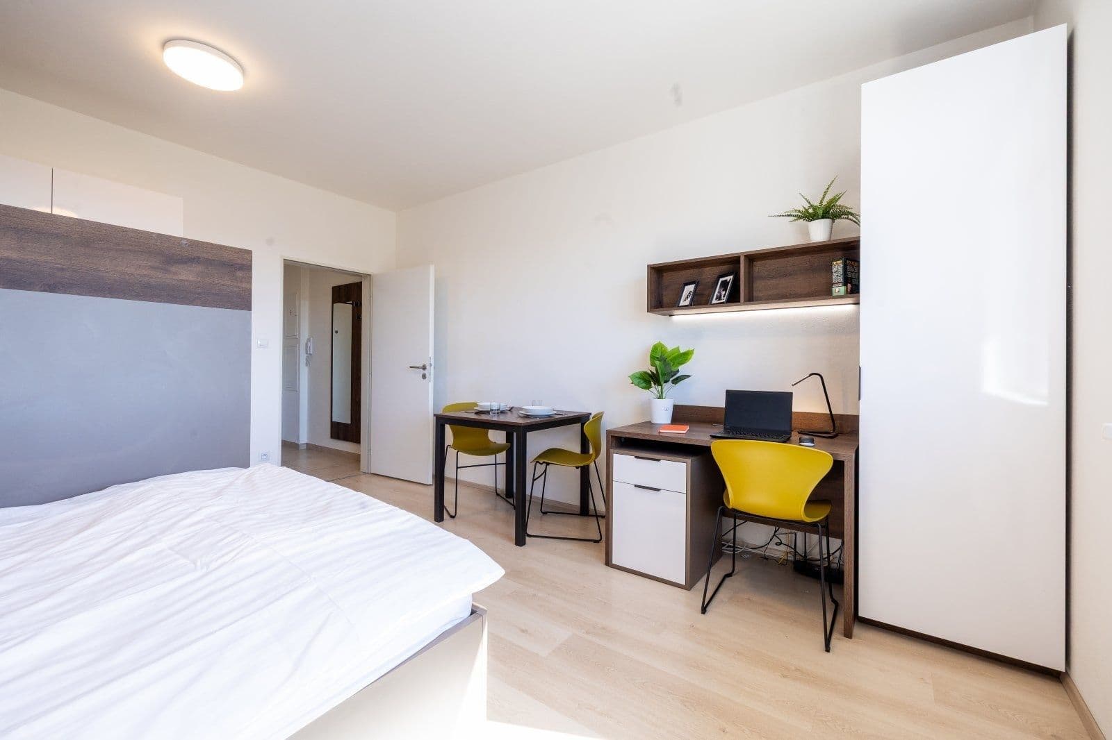 Prenájom bytu 1-izbový 27 m², Magisterská, Plzeň, Plzeňský kraj Prenájom bytu 1-izbový 27 m², Magisterská, Plzeň, Plzeňský kraj
