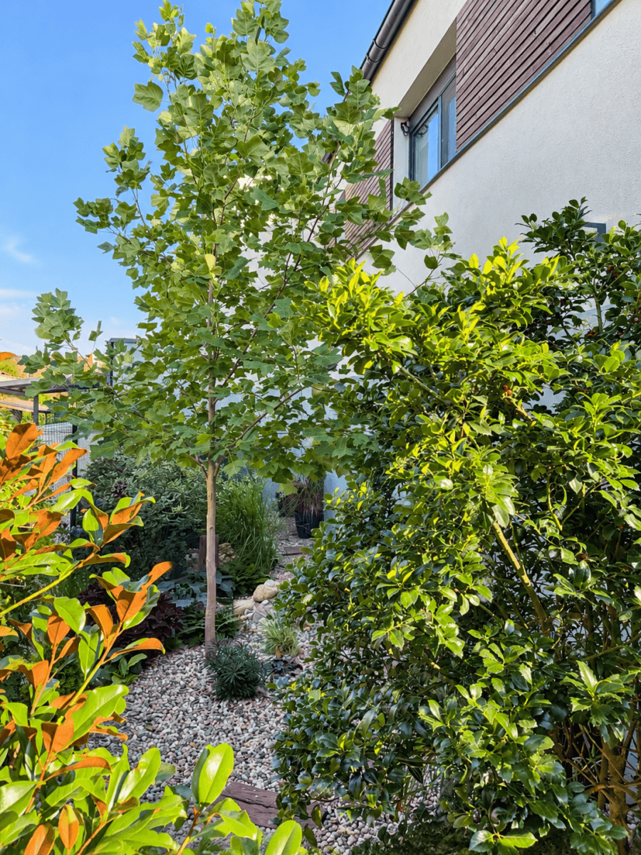 Predaj domu 124 m², pozemok 354 m², V Brance, Rudná, Středočeský kraj Predaj domu 124 m², pozemok 354 m², V Brance, Rudná, Středočeský kraj