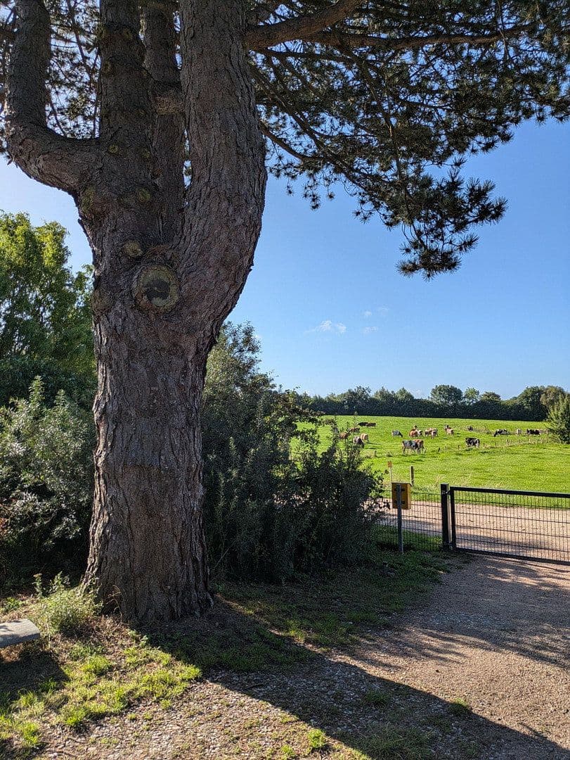 Predaj domu 140 m², pozemok 1.399 m², Blekendorf, Šlezvicko-Holštajnsko Predaj domu 140 m², pozemok 1.399 m², Blekendorf, Šlezvicko-Holštajnsko