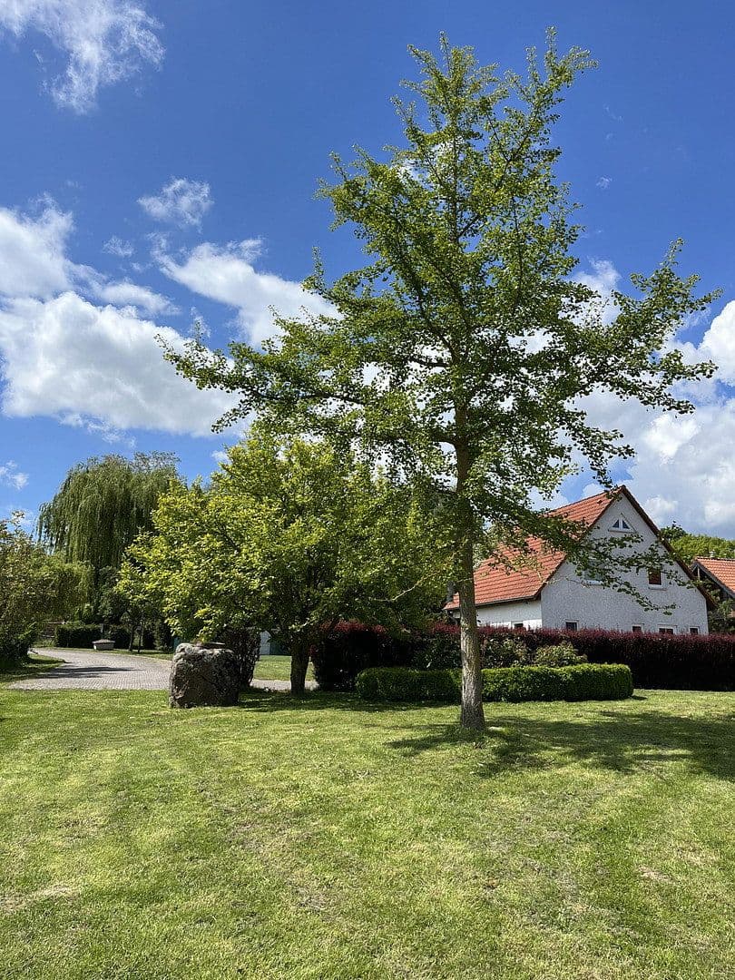 Predaj domu 190 m², pozemok 1.200 m², Frellstedt, Dolné Sasko Predaj domu 190 m², pozemok 1.200 m², Frellstedt, Dolné Sasko