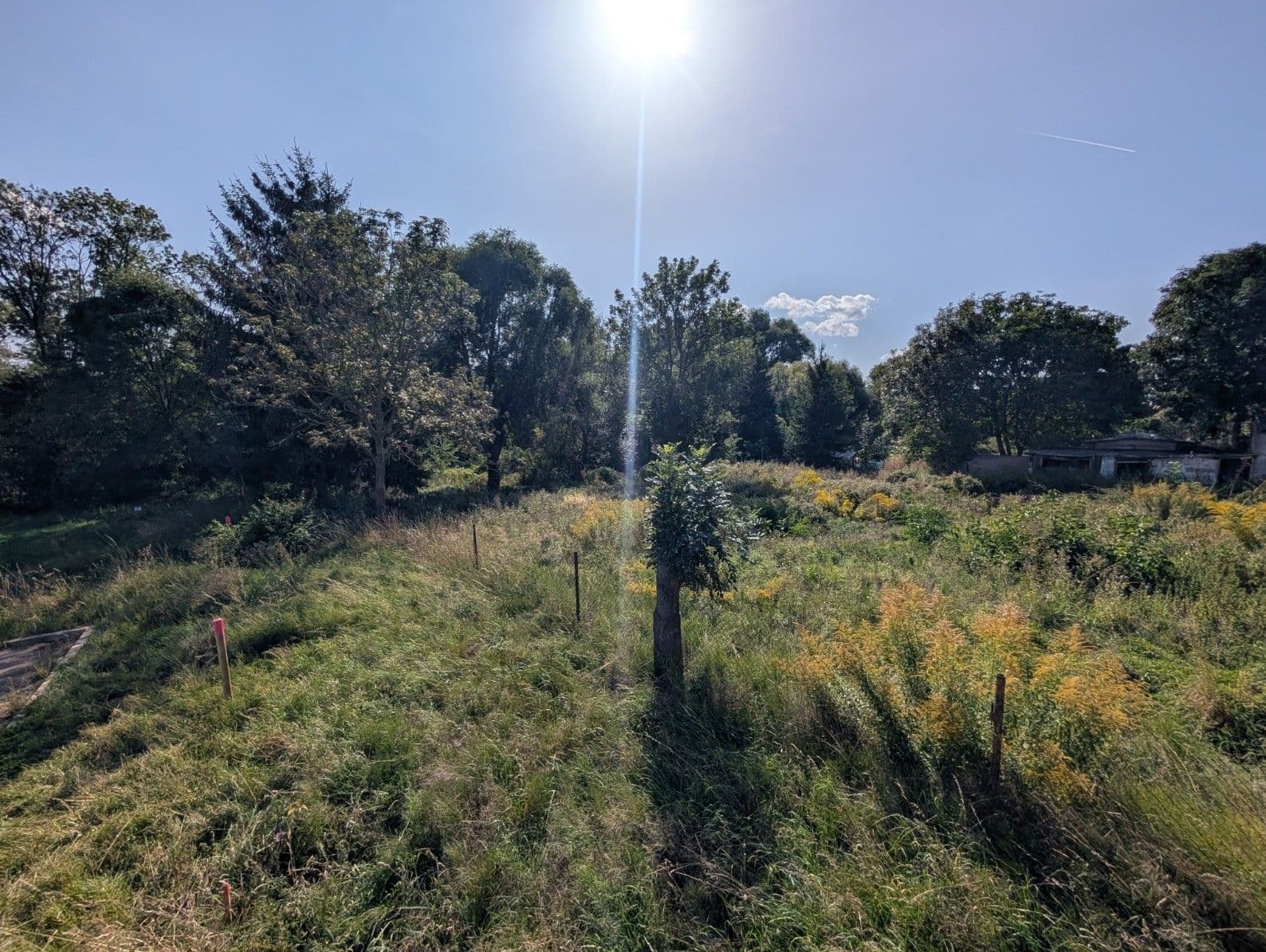 Predaj pozemku 1.036 m², Třebusice, Středočeský kraj Predaj pozemku 1.036 m², Třebusice, Středočeský kraj